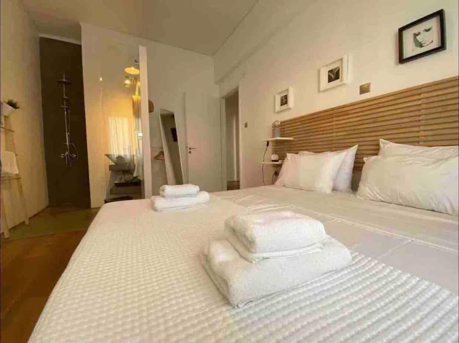 אתונה Vasilis Luxury Apartment מראה חיצוני תמונה